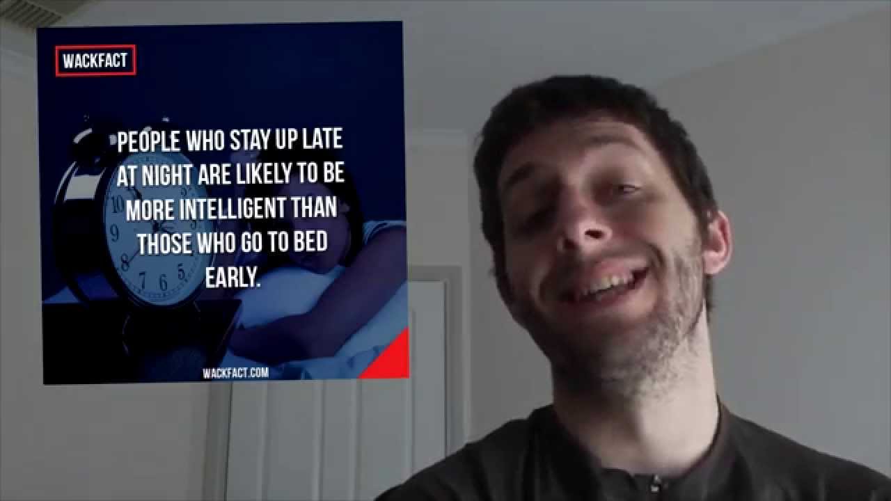 People Who Stay Up Late Are More Intelligent?