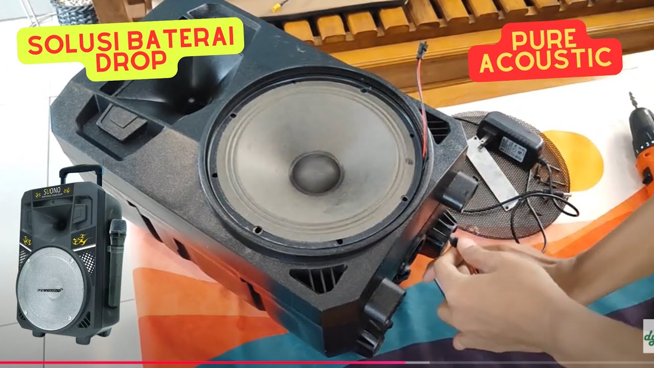 GANTI BATERAI SPEAKER PORTABLE PURE ACOUSTIC