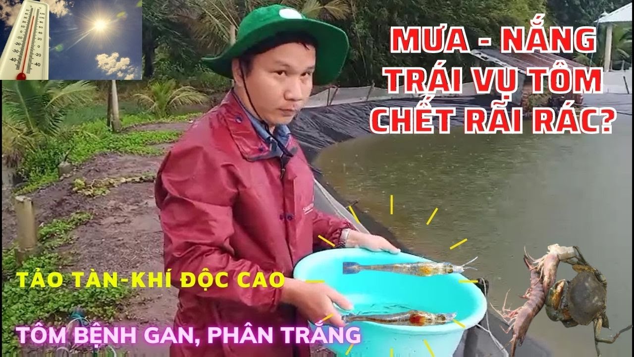 HỖ TRỢ XỬ L&Yacute; HIỆN TƯỢNG 