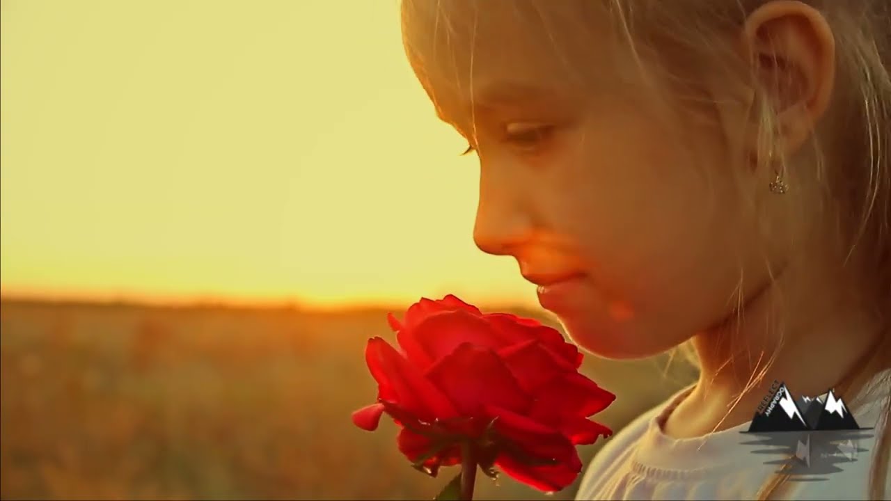 Blossomry | Flowers in Bloom, Synchronized to the Beat