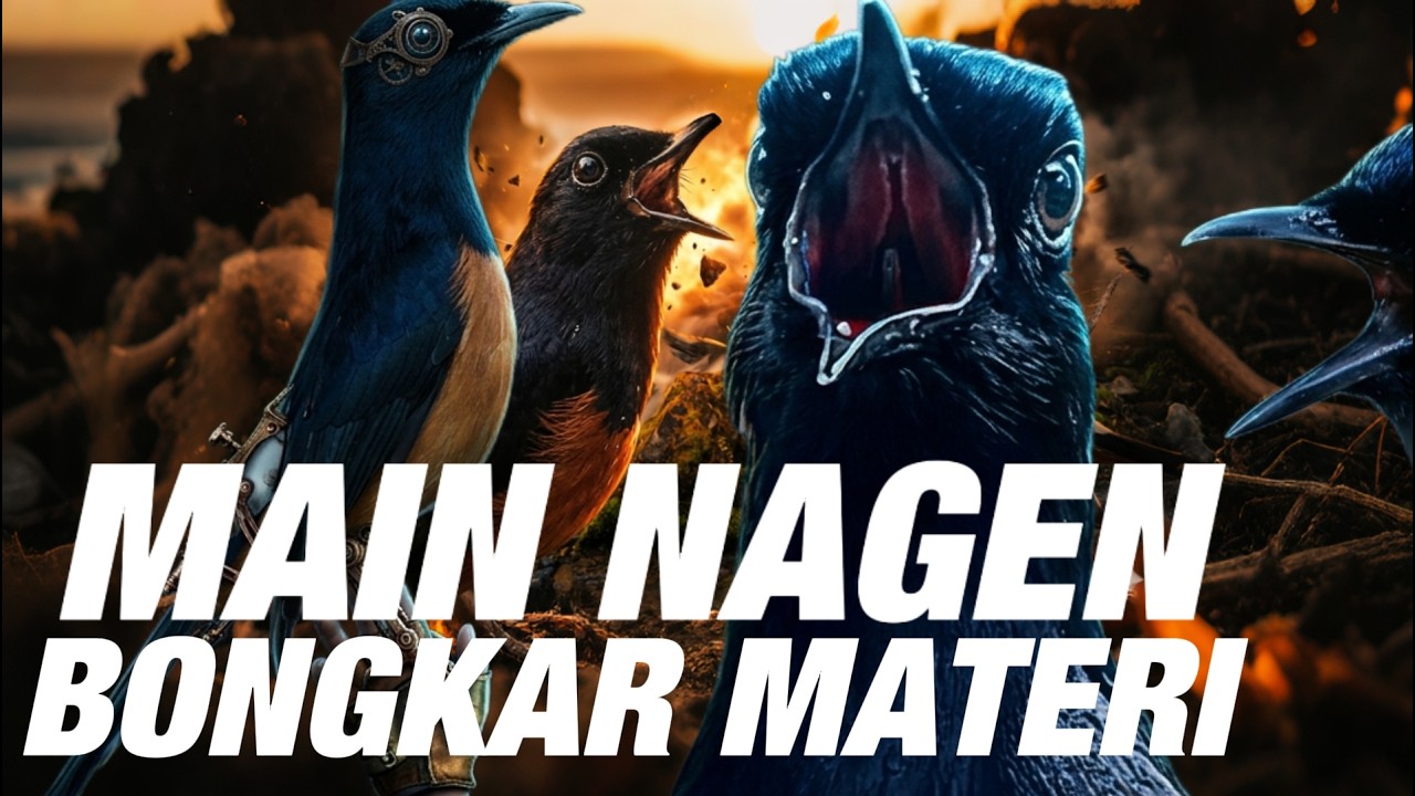 MAIN NAGEN DAN BONGKAR MATERI