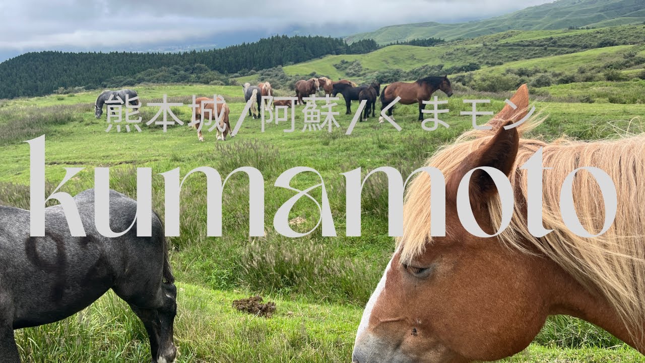 【熊本旅Vlog】/阿蘇の絶景🌋熊本城/くまモンスクエア/OMO5熊本宿泊/グルメ　#熊本旅行