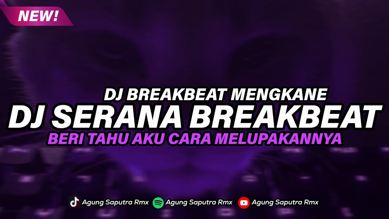 DJ BREAKBEAT SERANA BERI TAU AKU CARA MELUPAKANMU