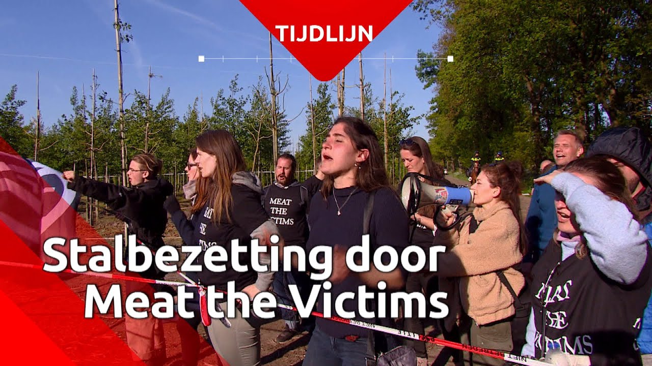 Bezetting varkensstal Boxtel: dit gebeurde op maandag 13 mei 2018