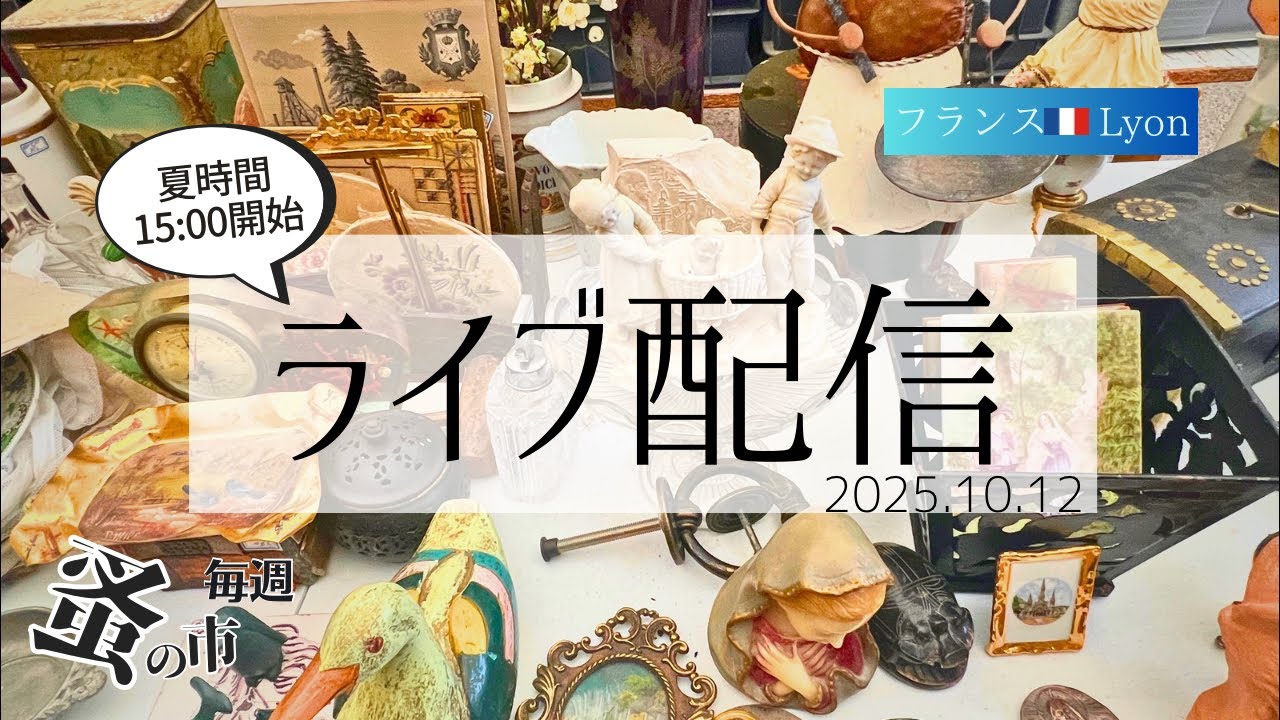 毎週蚤の市🇫🇷Lyonから 2025.10.12 Sunday Brocante in France vol.158