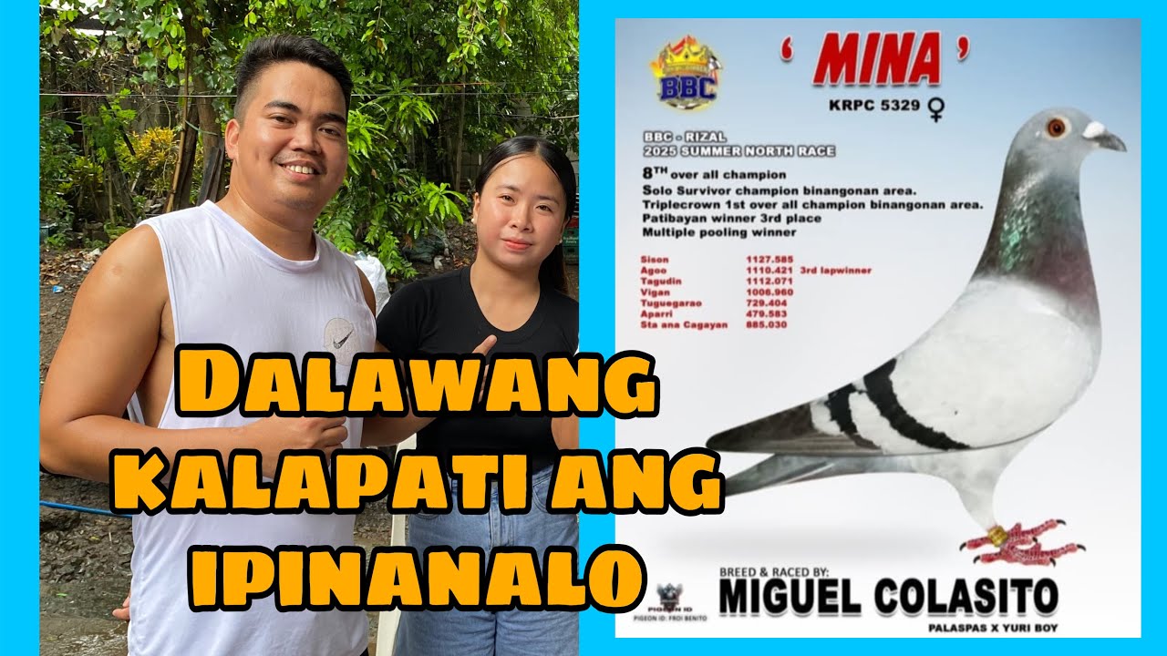 SI MISIS ANG NAGPA CHAMPION NG DALAWANG KALAPATI |Reggie Cruz Loft & Aviary #reggiecruzloft