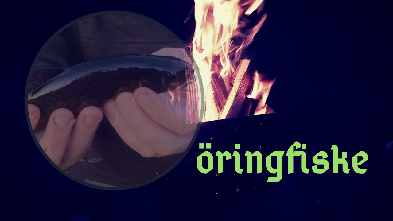 Öring Från Bäck Till Tjärn