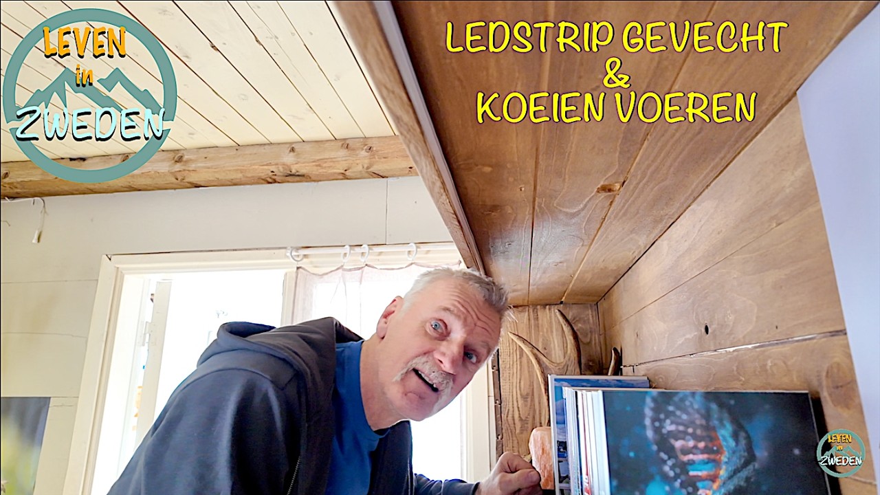 Ledstrip gevecht & koeien voeren