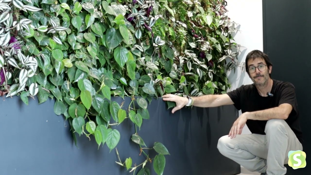 Así transformamos las oficinas del Grupo Alacant con un jardín vertical interior