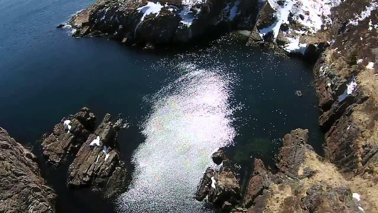 nl video