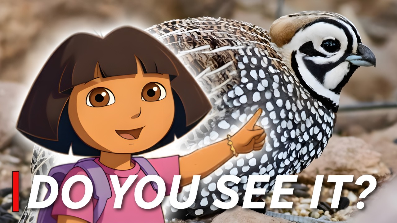 Southeast Arizona: Birders' Best Kept SECRET REVEALED!