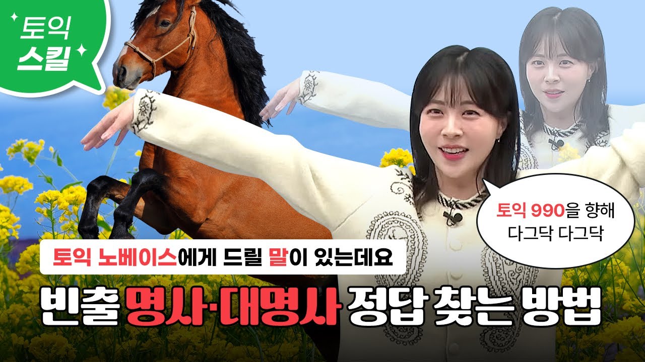 [노베이스를 위한 토익 문법 2탄] 빈출 명사·대명사· 가산/불가산 명사 이 영상 하나로 완성👌[서아쌤의 비밀과외]