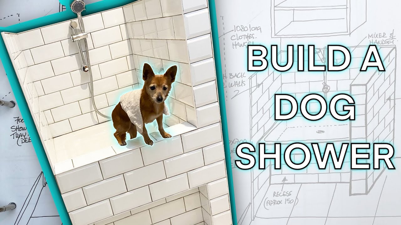 How to make a custom dog shower for under $1000