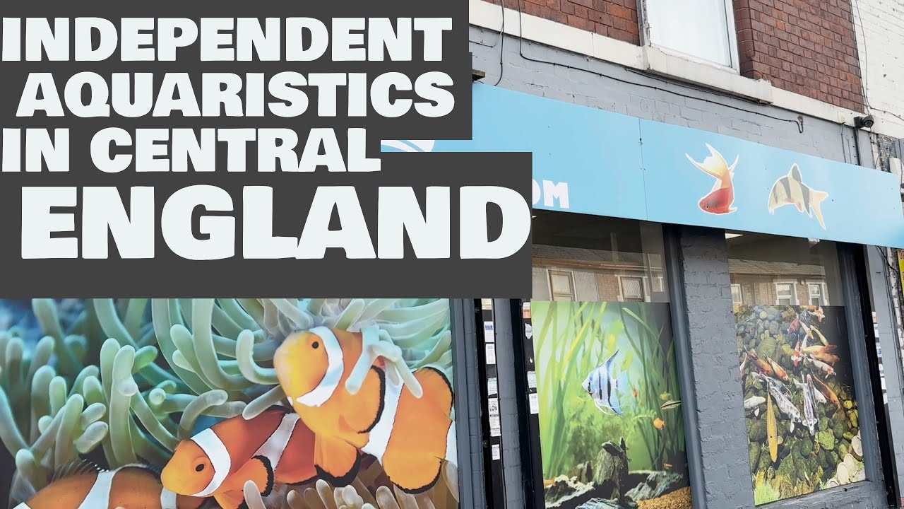 UK Local Aquarium Store in My Town
