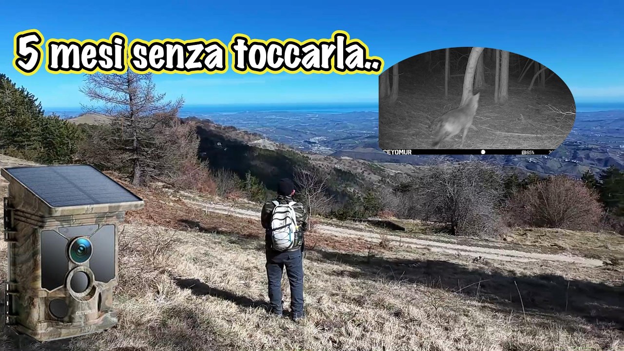 Dopo 5 mesi in montagna...non sapevo cosa avrei trovato!