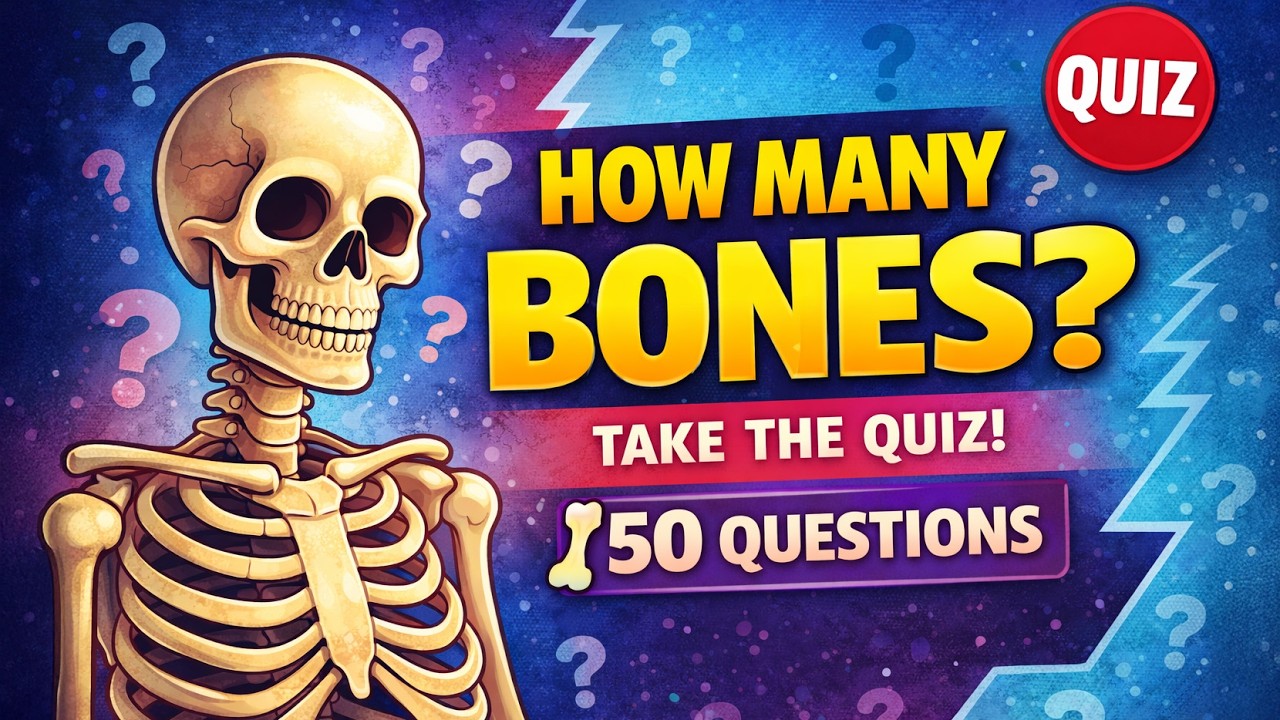 Can You Answer These 50 Bone Questions? 🦴 Ultimate Skeleton Trivia Challenge
