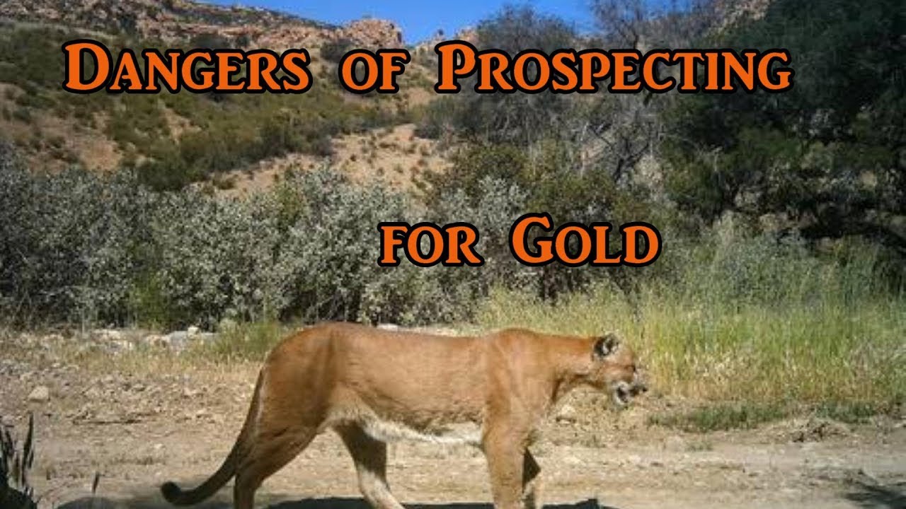 Dangers to look for while prospecting for gold