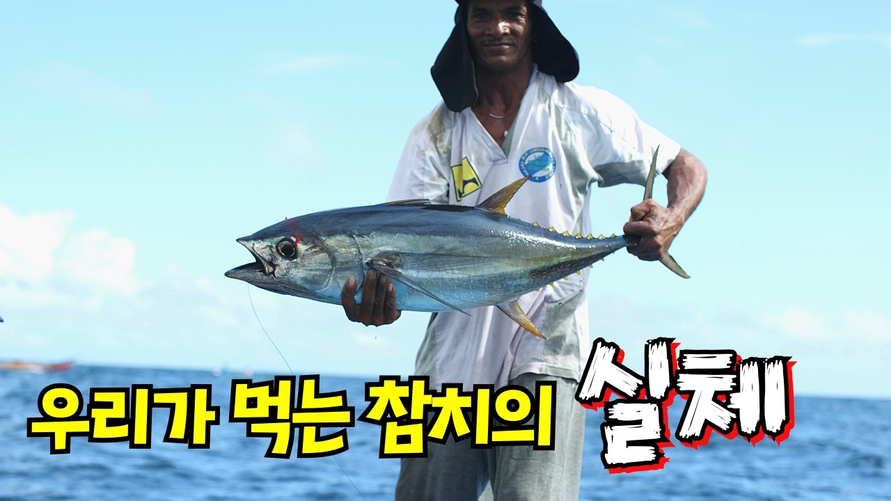 우리가 먹는 참치캔이 연으로 잡는다? (참치마을 ep1)