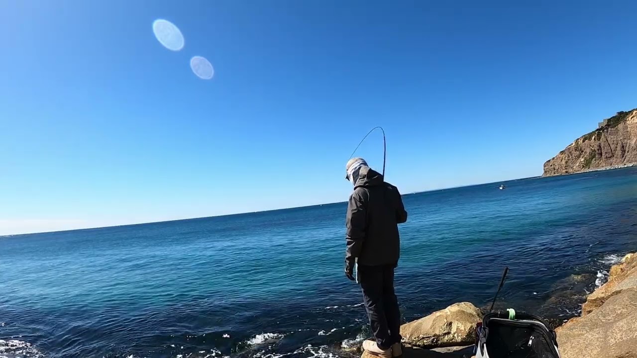 Dana Point Opaleye 다나 포인트 벵에돔 사짜