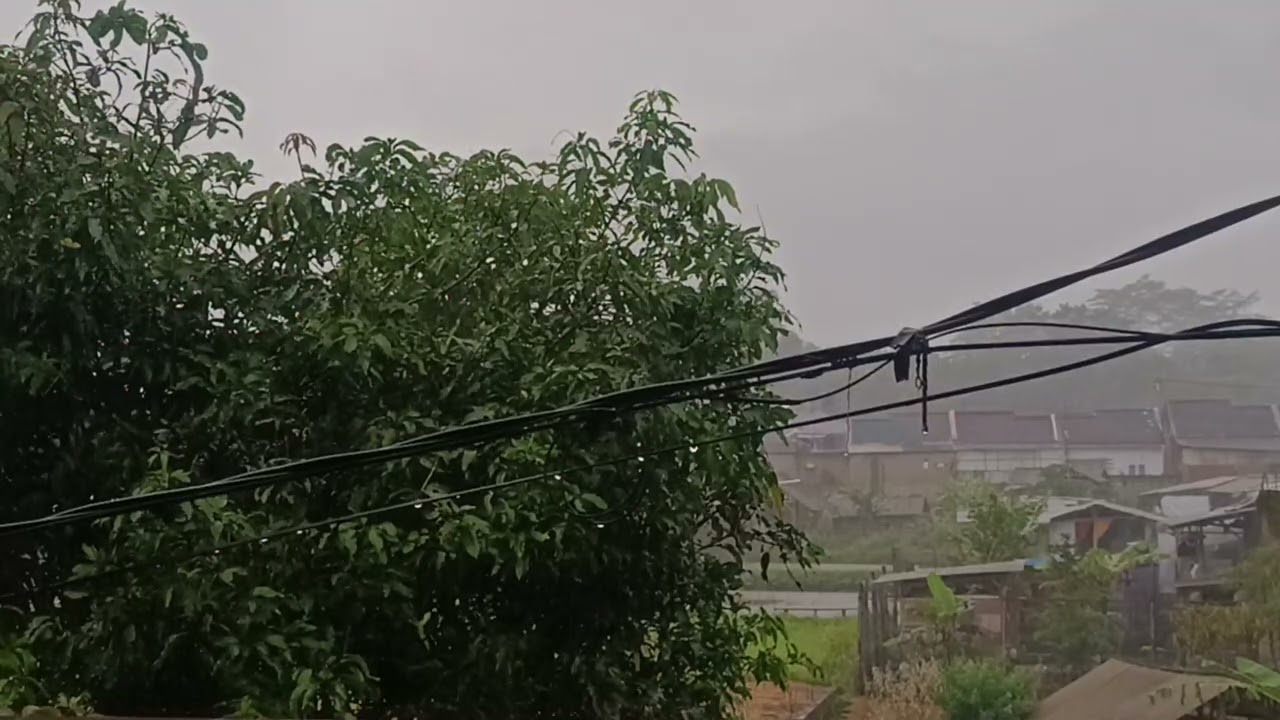 This Rain Sound Made 100k People Fall Asleep