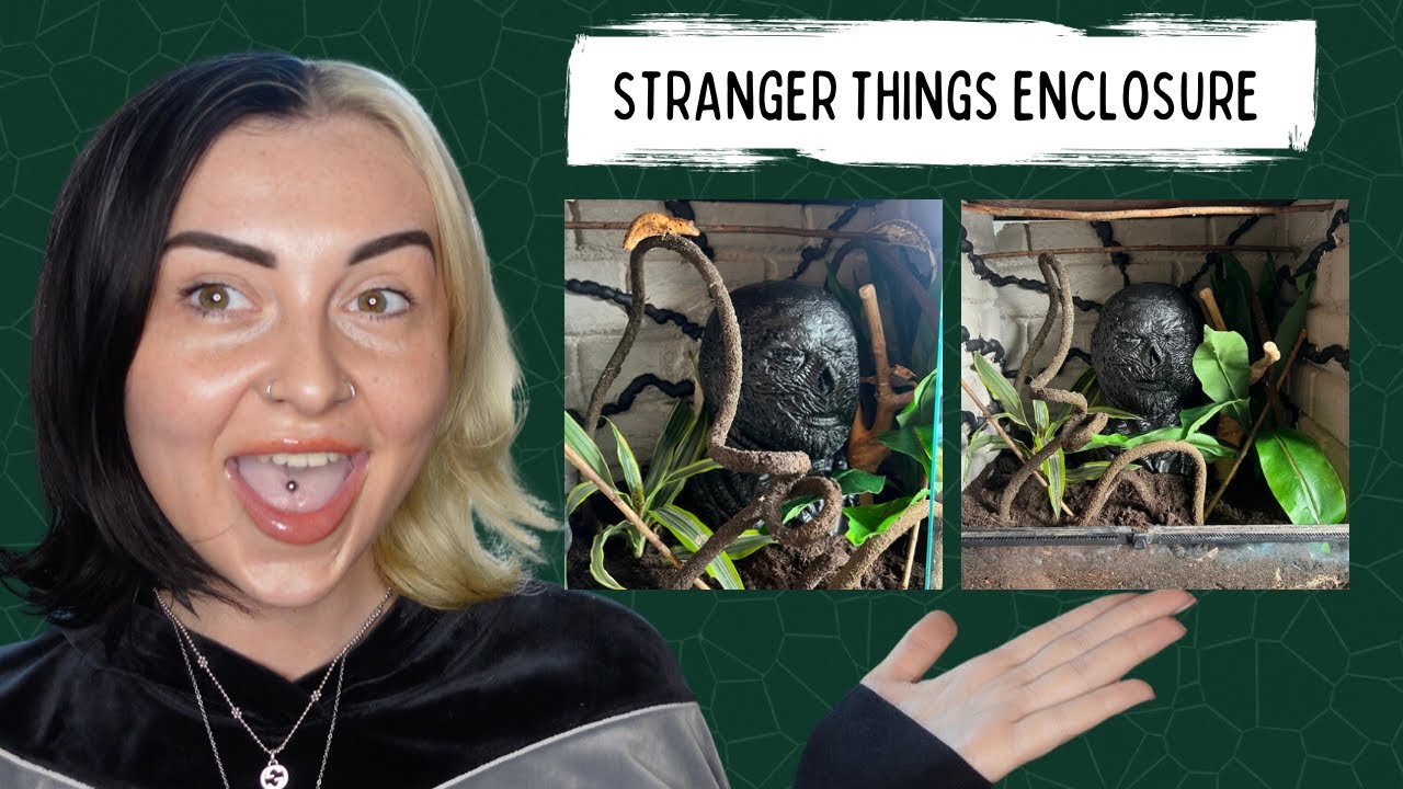 DIY REPTILE ENCLOSURE BACKGROUND (STRANGER THINGS THEMED)