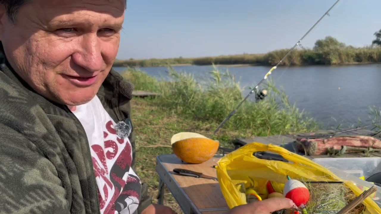 Осенний толстолобик .