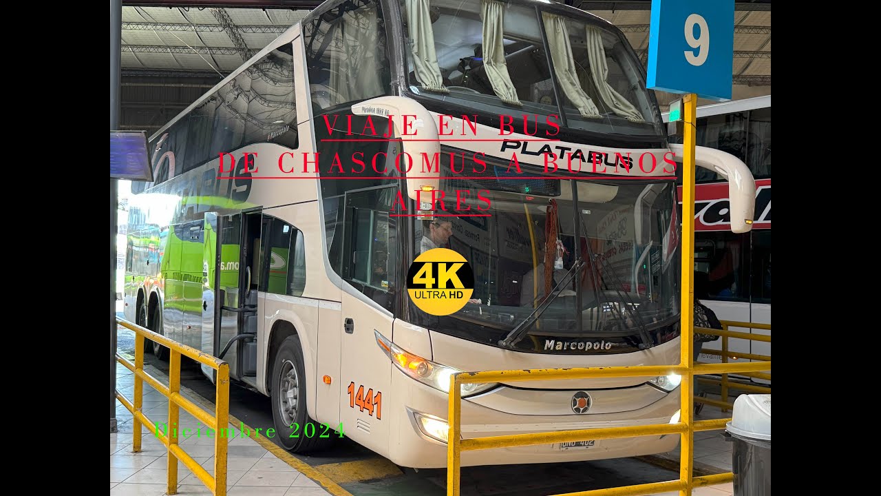 Viaje en Bus de Chascomus a Buenos Aires - Diciembre 2024 🇦🇷 🚌