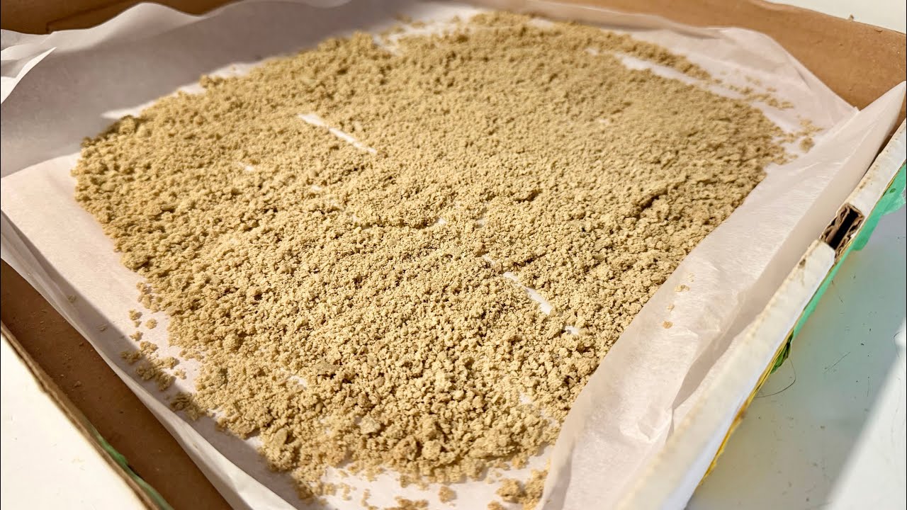 DIY Bubble Hash from Homegrown Trimmings | Prep for Temple Ball (Banana Daddy + Lemon Cherry Gelato)