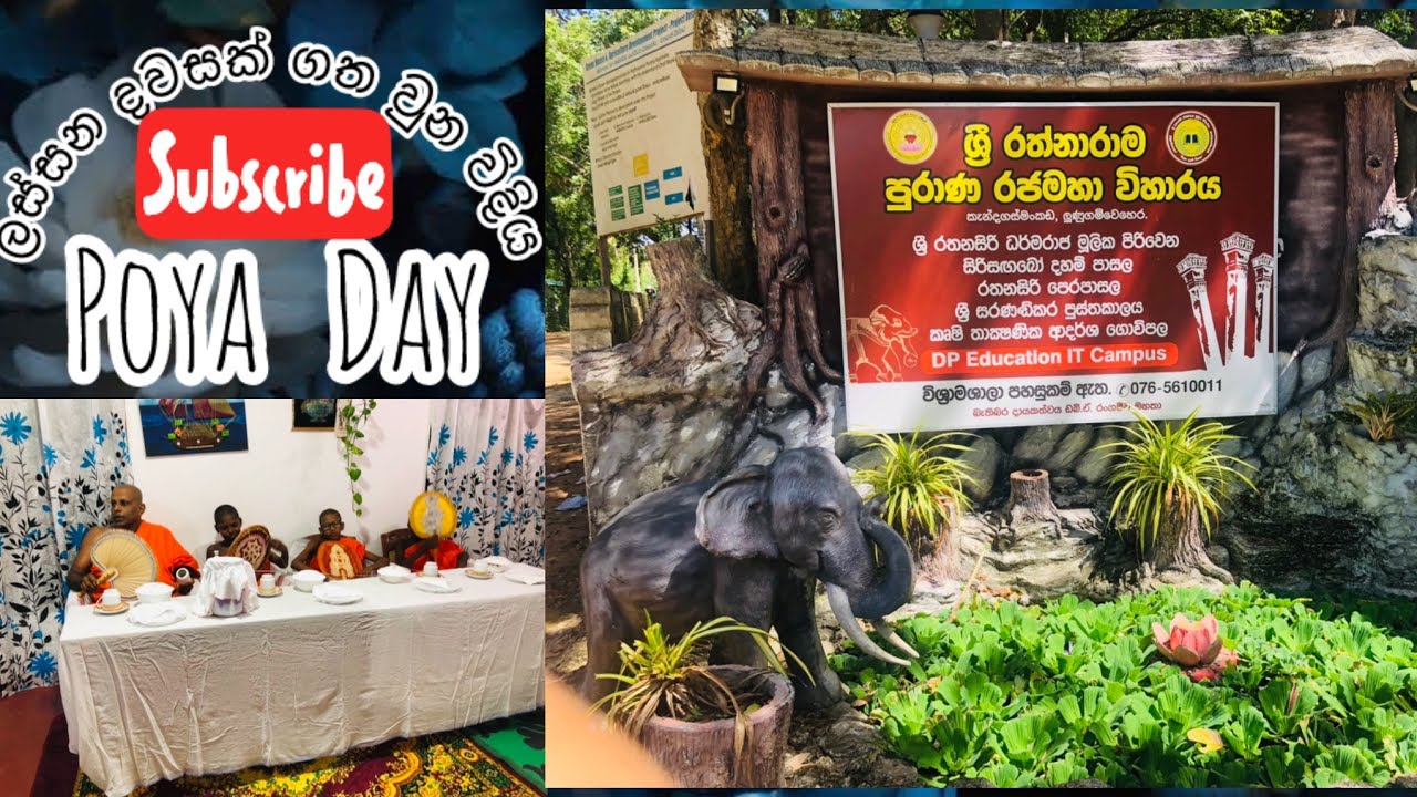 A day in My Life 💫🌸#PoyaDayVibes#TheruwanSarana#SethSithaNiwaduwata#PoyaDiyaSanda#BuddhistBlessings