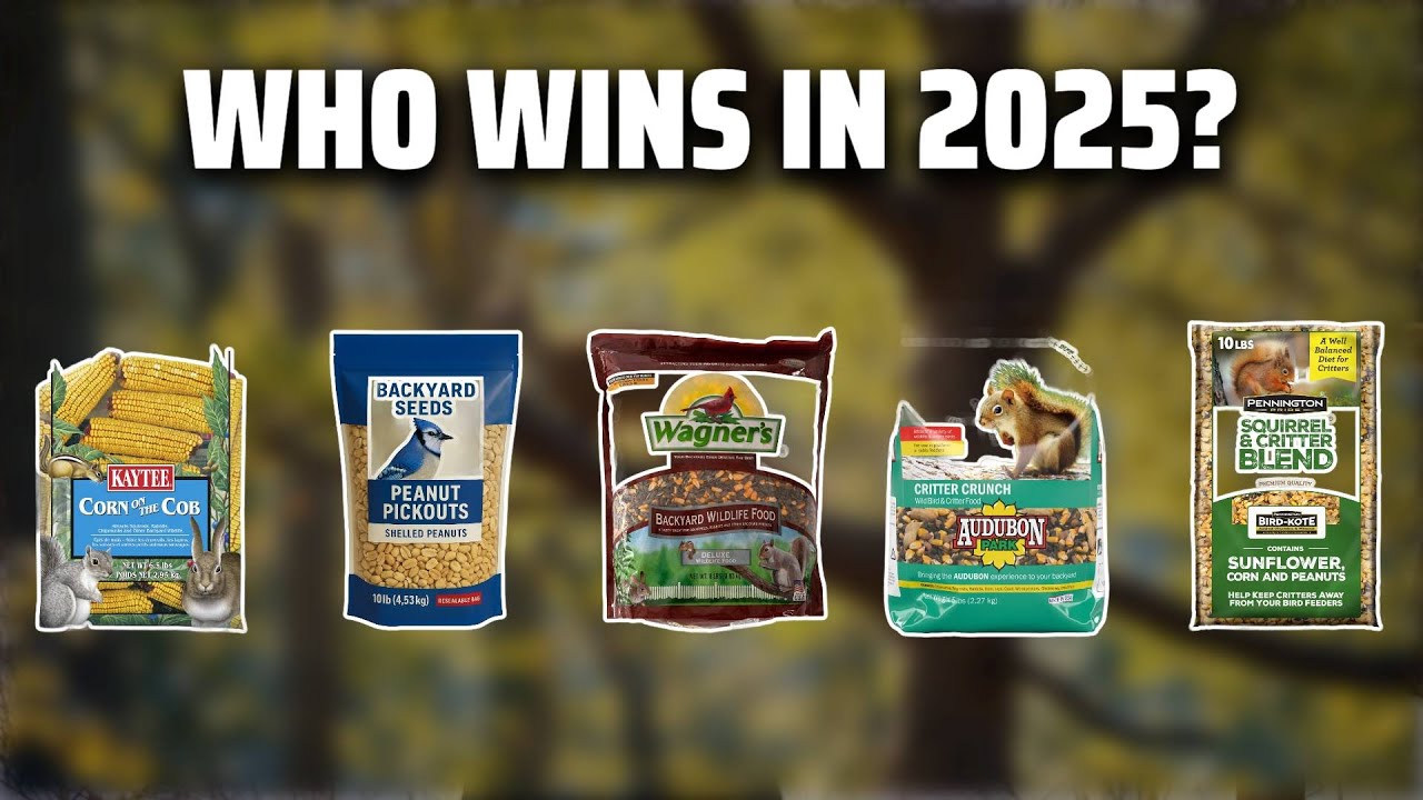 The Top 5 Best Squirrel Food in 2025 - Must Watch Before Buying!