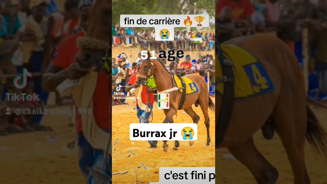 sen rétro course hippique Sénégal 🔥🏆🏇🇸🇳 