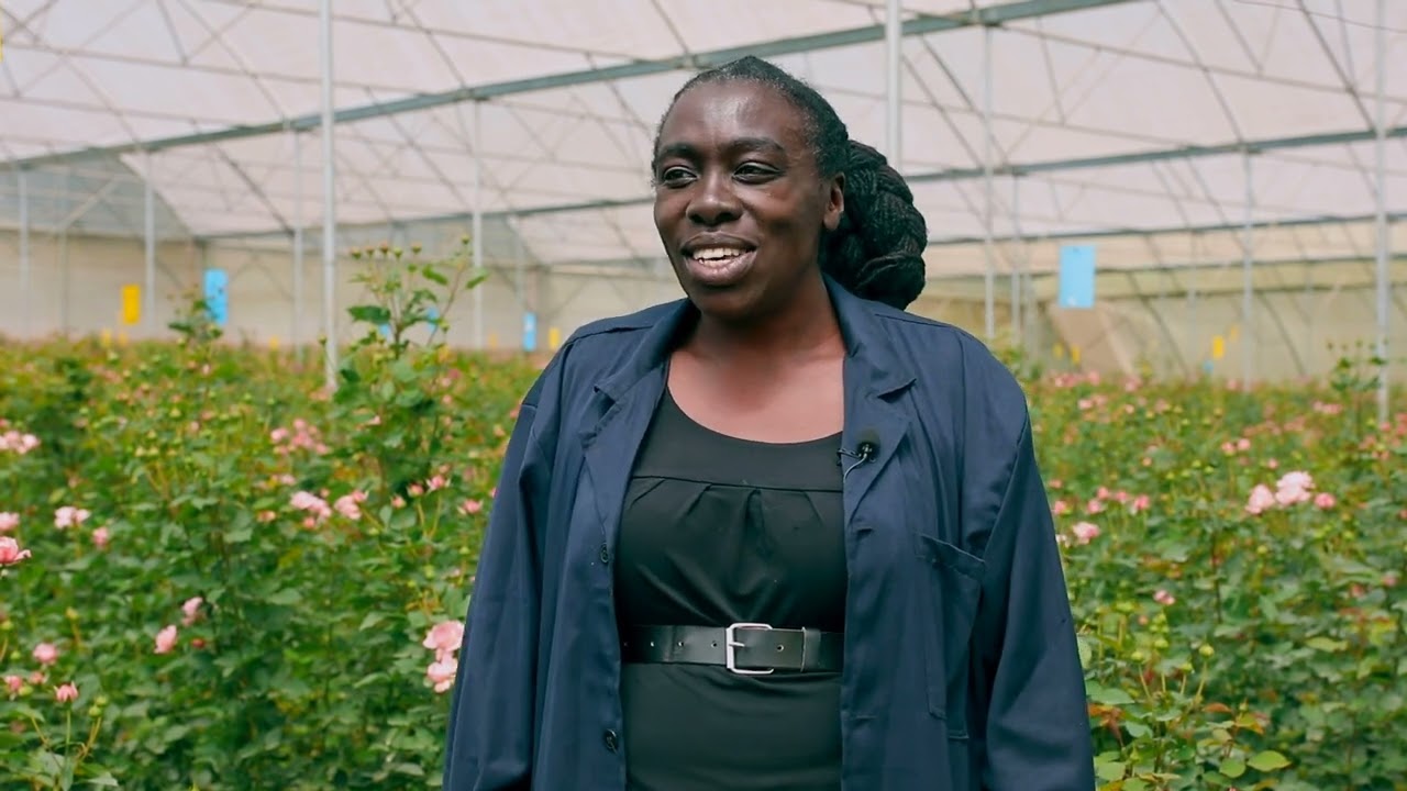 Tambuzi Flowers: Cultivating Elegance, One Petal at a Time
