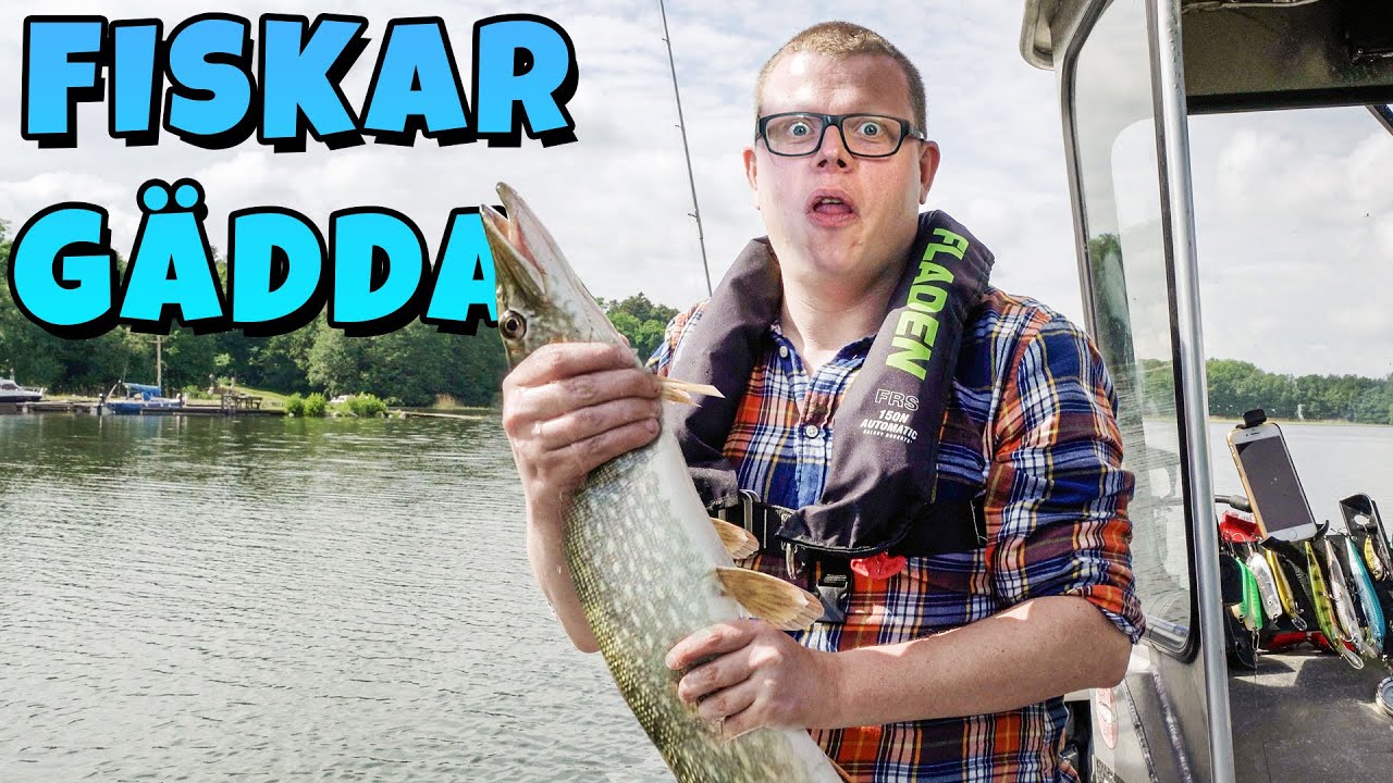 figgehn fiskar gädda