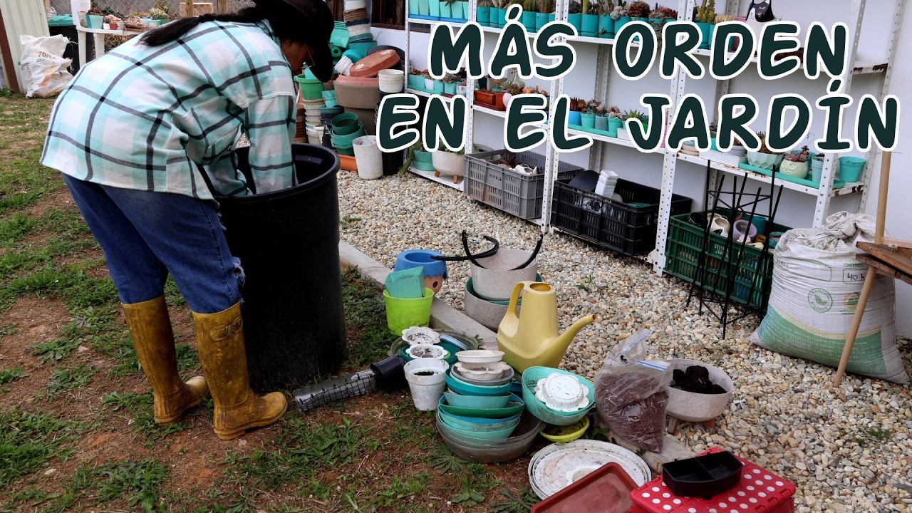 Organizando las materas y más tareas del jardín │Candy Bu
