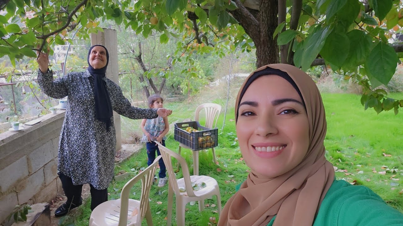 قطفنا شجرة الخرمة (الكاكي) من أرضنا بالضيعة