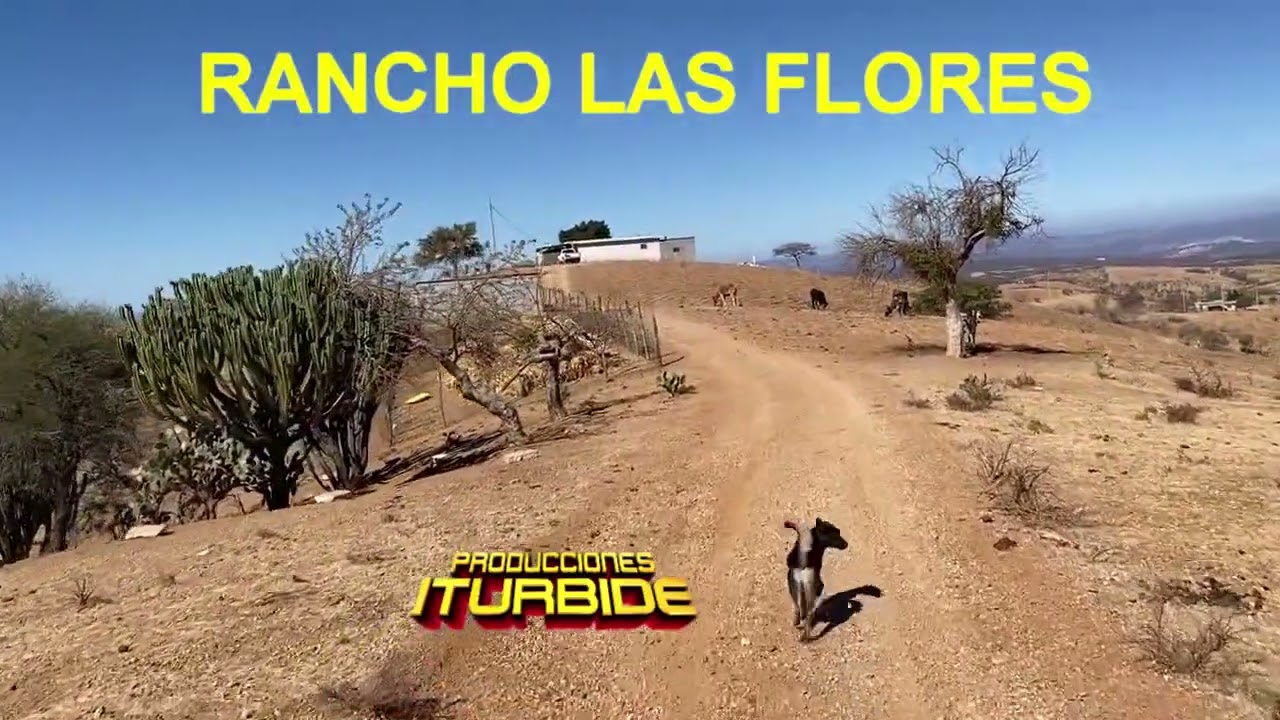 RANCHO LAS FLORES TEPEXI DE RODRIGUEZ PUEBLA RECORRIDO DE CALLES PARTE 2 FEBRERO 2023 MÚSICA SIN FDL