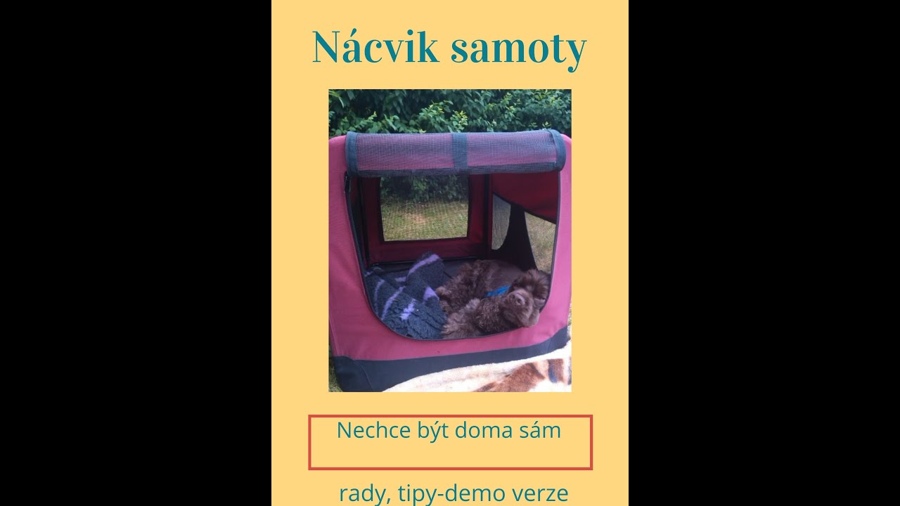 Nácvik samoty- neumí být sám doma (demoluje,  brečí, rady, tipy)