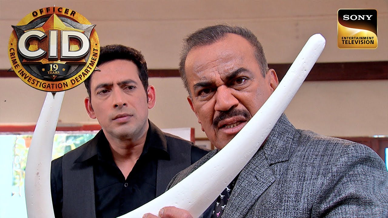 Crime Scene पे Elephant Tusks देख ACP हुए हैरान | CID | Full Episode
