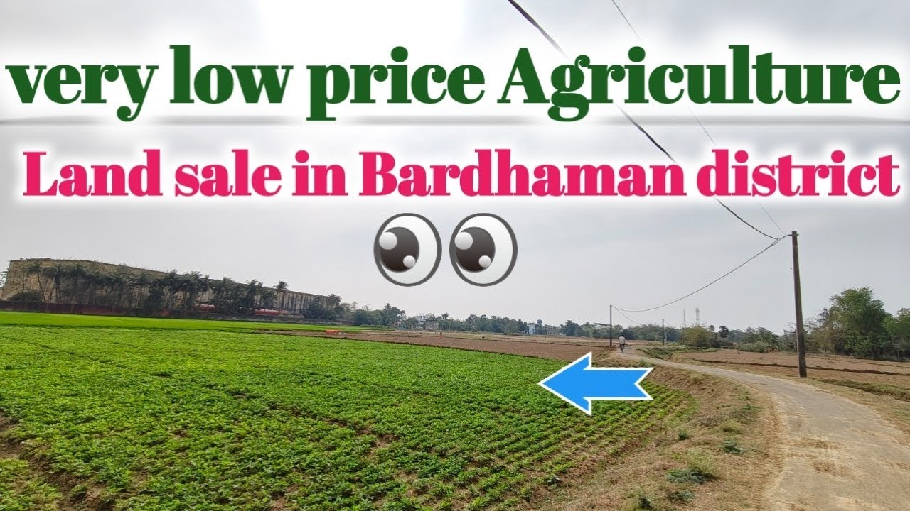 very low price agriculture land sale in Bardhaman district🙏