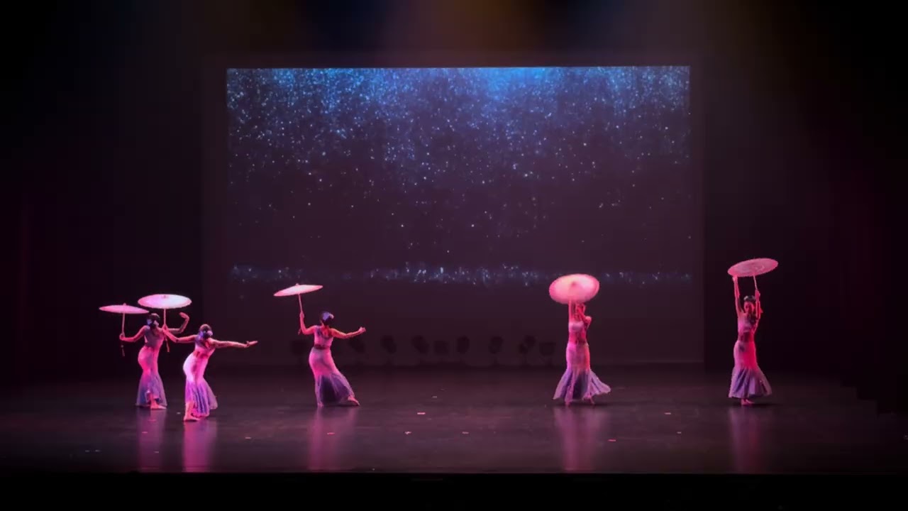 舞蹈《傣家的女儿傣家的雨》