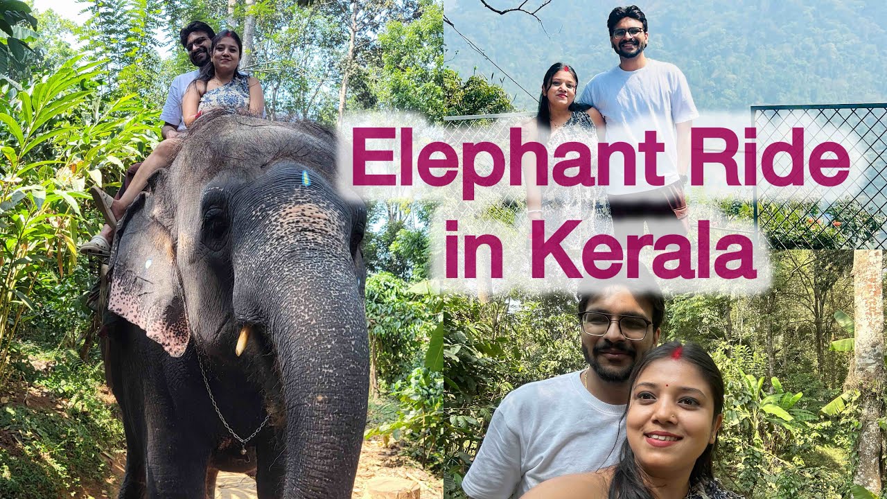 Elephant Ride in kerala🌴 | The Munnar Queen Resort Kerala 