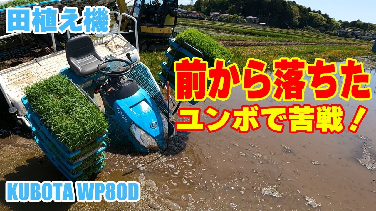 Рассадопосадочная машина риса падает у входа. Пытаясь спасти в Юмбо [Kubota WP80D YANMAR Vio]