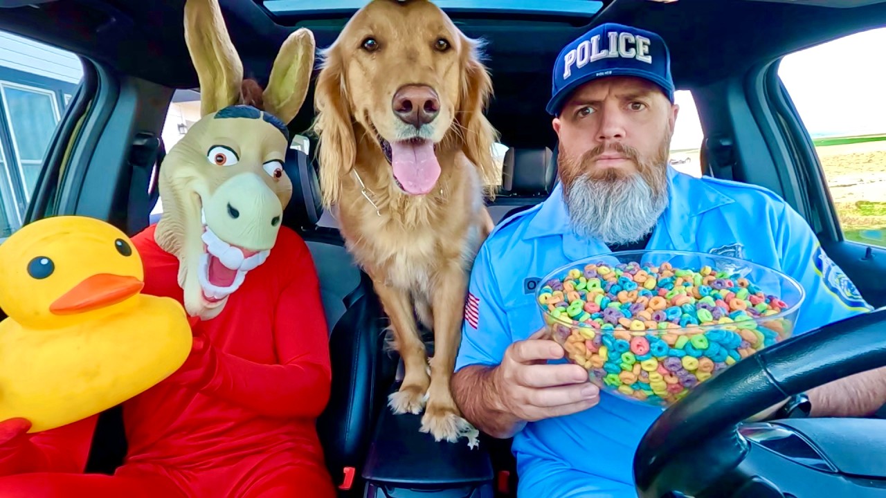 Police Surprises Donkey & Rubber Ducky with Car Ride Chase!