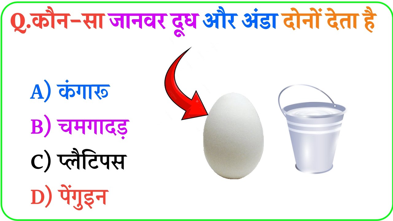 99% लोग ये GK सवाल गलत जवाब देंगे 😱 | Viral Tricky GK Quiz Hindi | Gk Questions | Gk In Hindi |2026