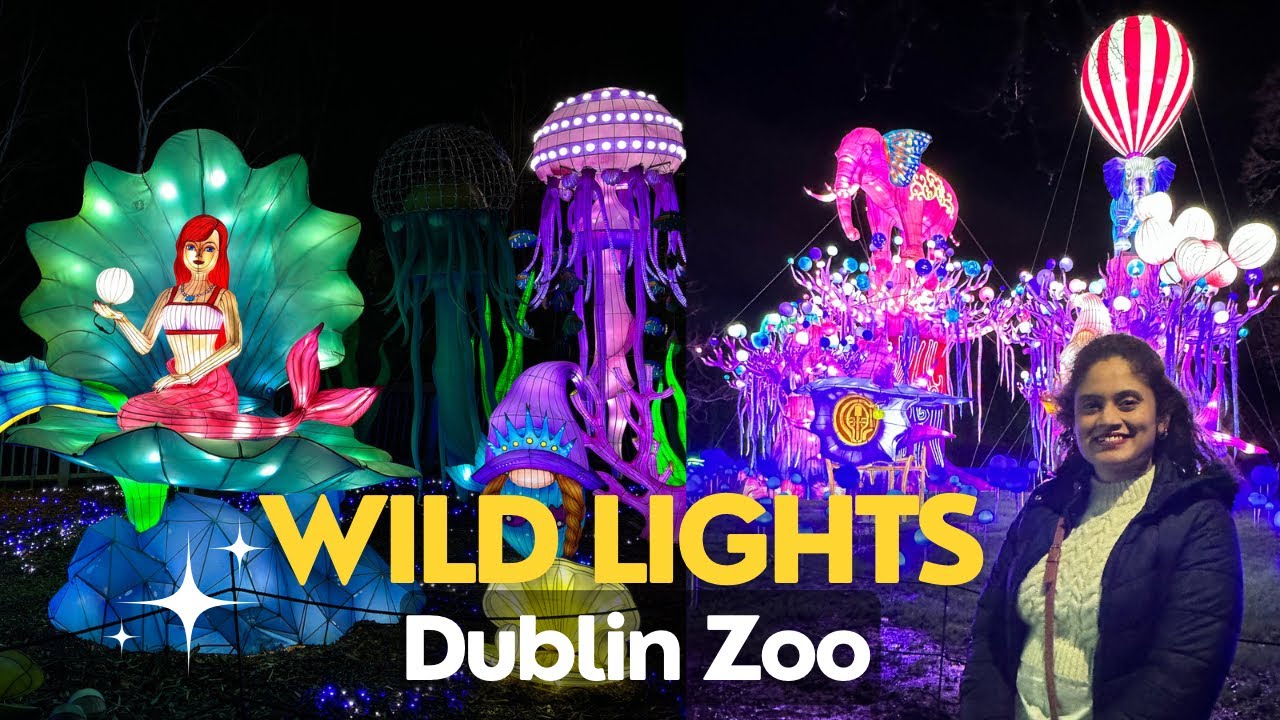 Wild Lights at Dublin Zoo 2023/2024 | Walking tour | The Enchanted Zoo | Things to do Dublin Ireland