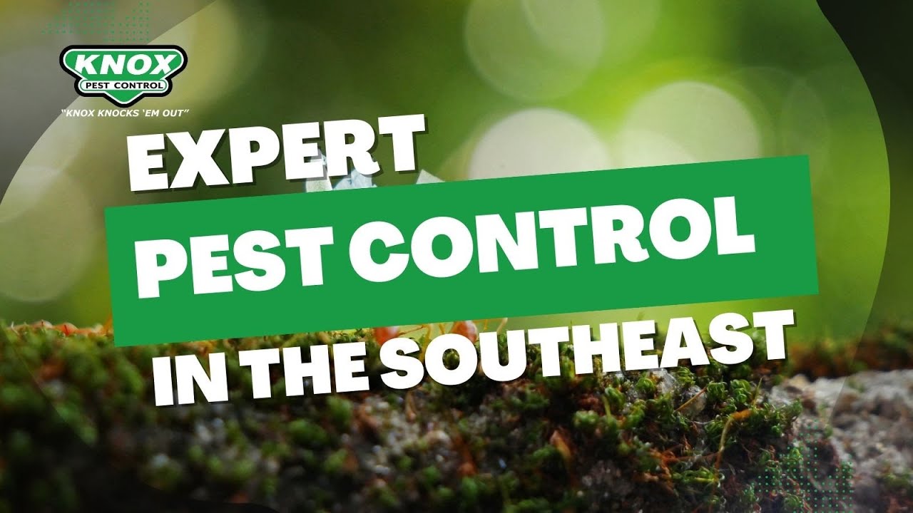 Knox Pest Control  - Expert Pest Control in the Southeast