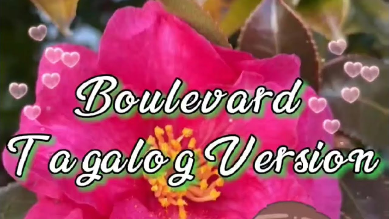 Boulevard (Tagalog version)_cover by Eli Ventayen