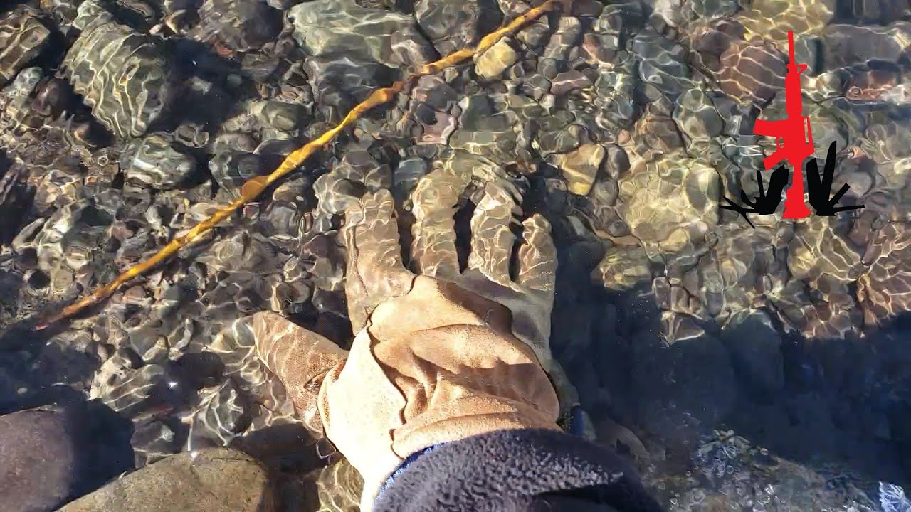 How to waterproof leather work gloves.