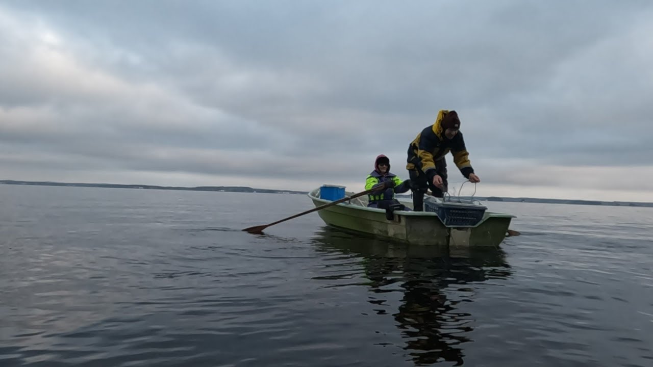 Siikaverkoilla Saimaalla Joulukuussa 2022