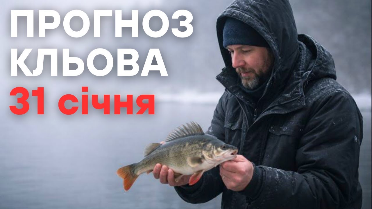 Прогноз кльова на 31 січня 2026 | Календар рибалки
